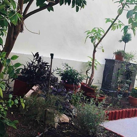 شقة Modern Hospitality, With Private Garden, أثينا المظهر الخارجي الصورة