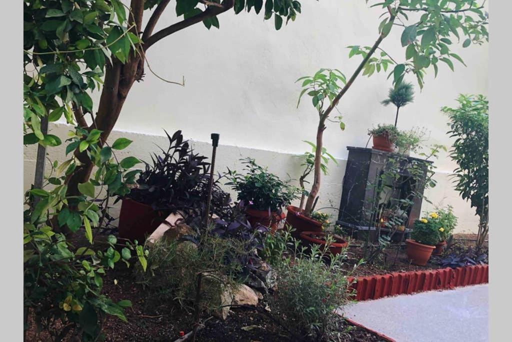 شقة Modern Hospitality, With Private Garden, أثينا المظهر الخارجي الصورة